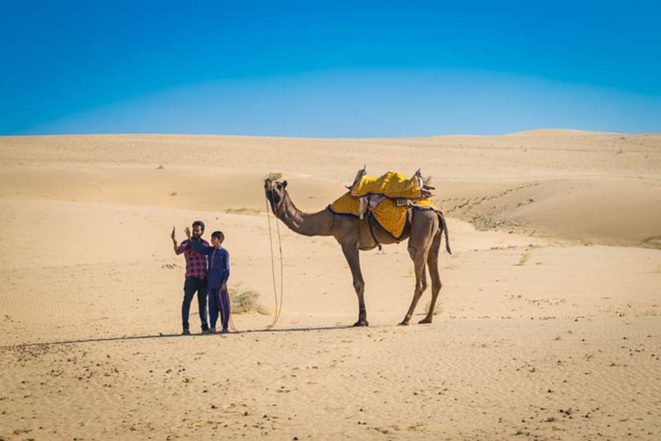 PREMIUM INDIA TOUR: SPLENDID JOURNEY ACROSS INDIA - undefined - Image 8