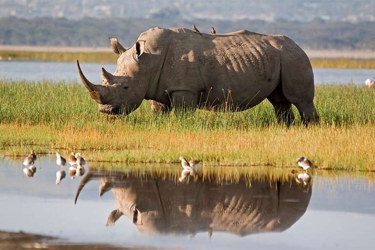 Kenya Last Minute Deals: Premium Kenya