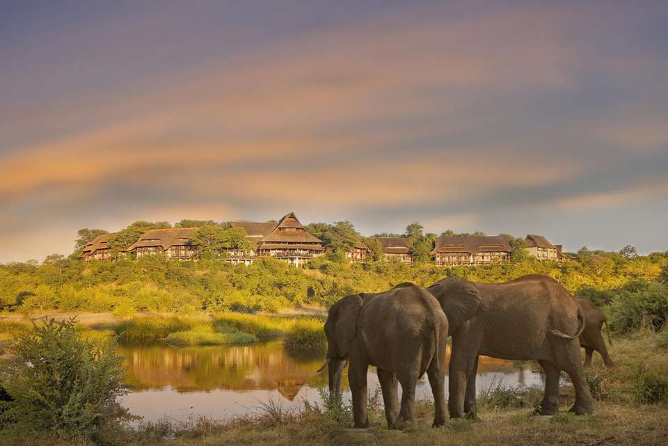 Premium Kenya & Southern Africa Highlights - Intrepid Travel - Kenya - Image 2