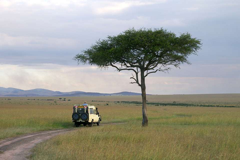 Premium Kenya & Southern Africa Highlights - Intrepid Travel - Kenya - Image 6