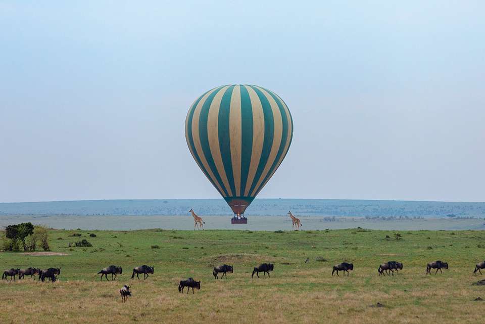 Premium Kenya & Tanzania - Intrepid Travel - Kenya - Image 15