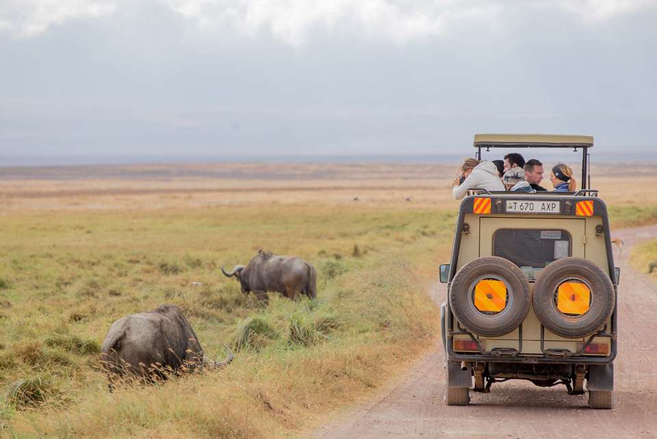 Premium Kenya & Tanzania - Intrepid Travel - Kenya - Image 14