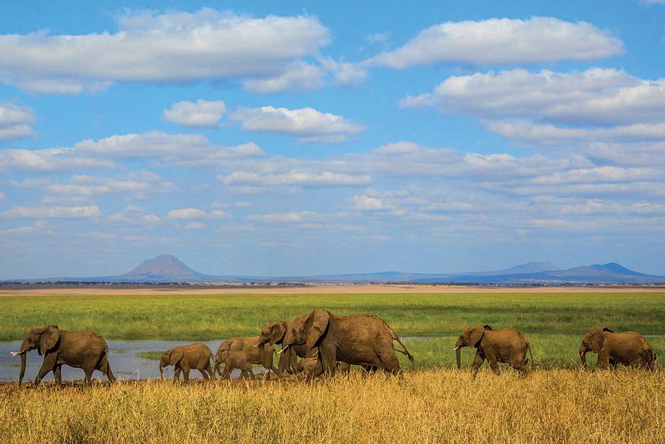 Premium Kenya & Tanzania - Intrepid Travel - Kenya - Image 12