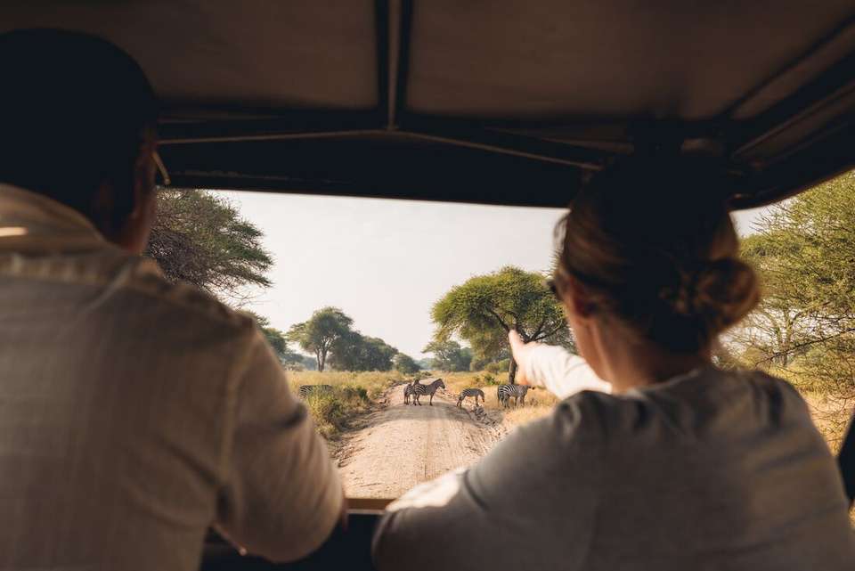 Premium Kenya & Tanzania - Intrepid Travel - Kenya - Image 11