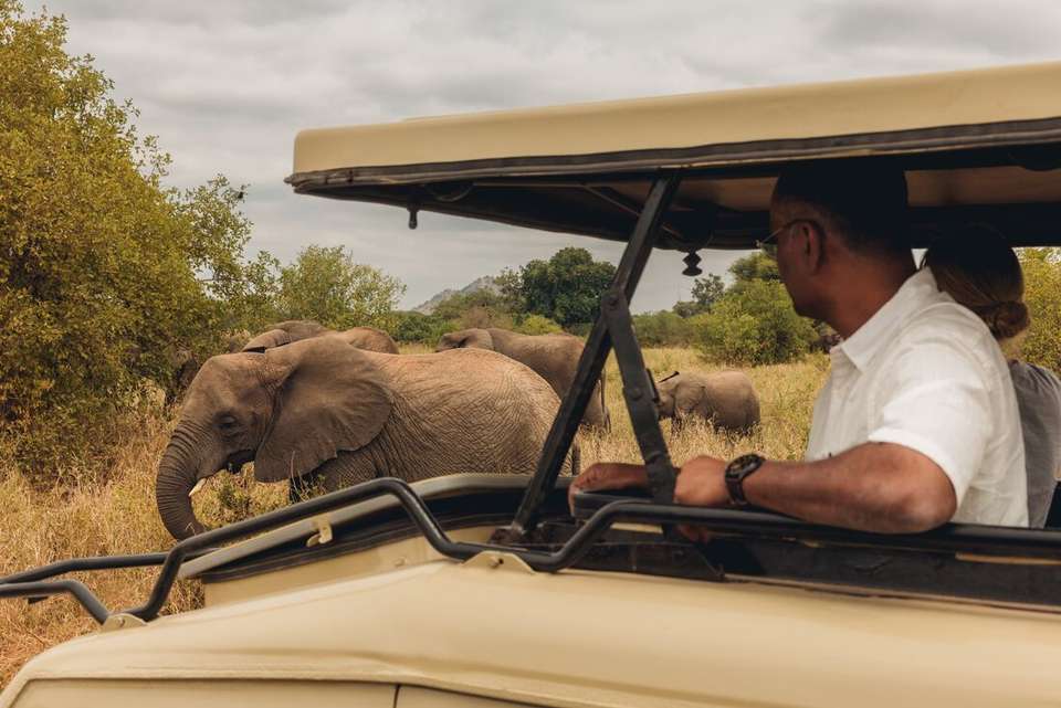 Premium Kenya & Tanzania - Intrepid Travel - Kenya - Image 2