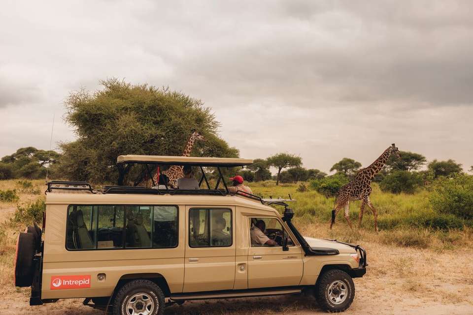 Premium Kenya & Tanzania - Intrepid Travel - Kenya - Image 10