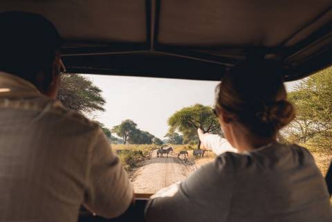 Africa Wildlife Safaris And Game Drives Tour: Premium Kenya & Tanzania