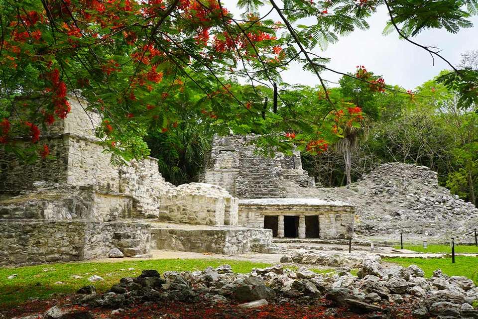 Premium Mexico Yucatan Highlights - Intrepid Travel - Mexico - Image 11