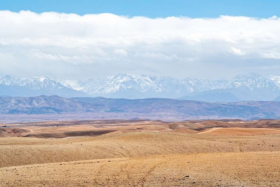 Premium Morocco Highlights - Intrepid Travel - Morocco - Image 2