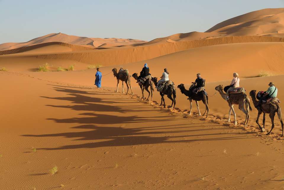 Premium Morocco in Depth - Intrepid Travel - Morocco - Image 9
