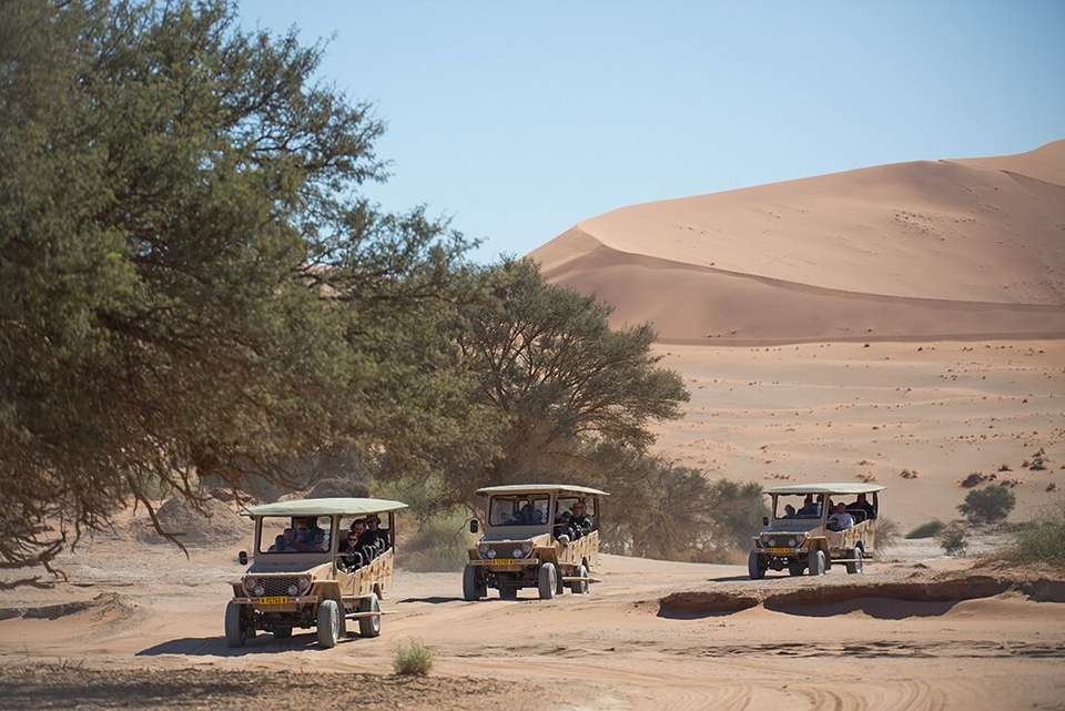 Premium Namibia - Intrepid Travel - Namibia - Image 1