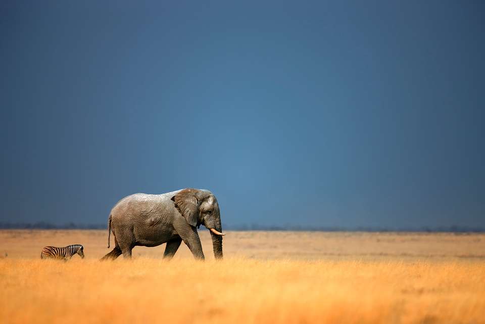 Premium Namibia - Intrepid Travel - Namibia - Image 2