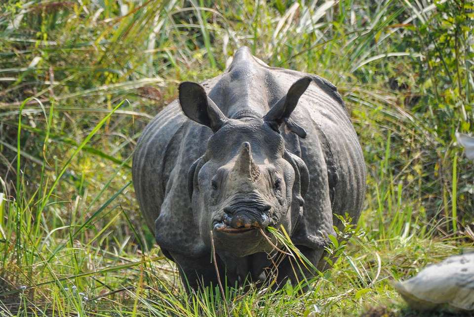 Premium Nepal - Intrepid Travel - Nepal - Image 7