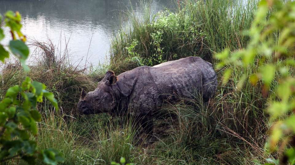 Premium Nepal Tour - Travel Max Guide - Nepal - Image 7