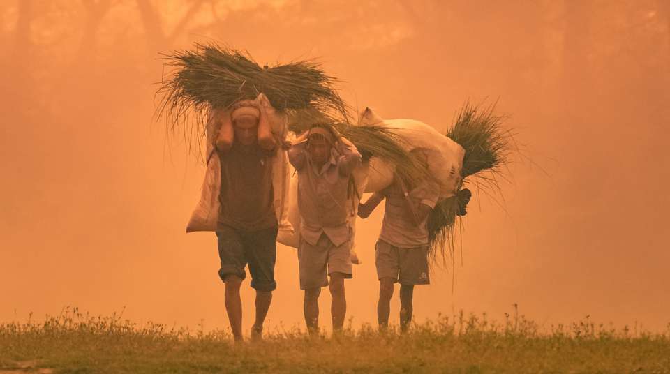 Premium Nepal Tour - Travel Max Guide - Nepal - Image 12