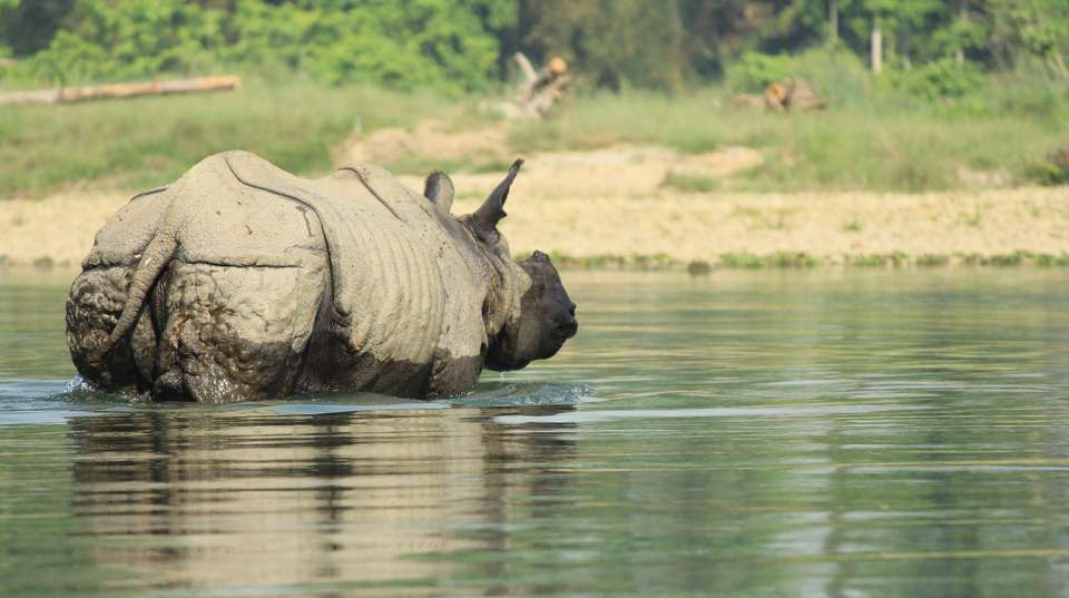 Premium Nepal Tour - Travel Max Guide - Nepal - Image 14