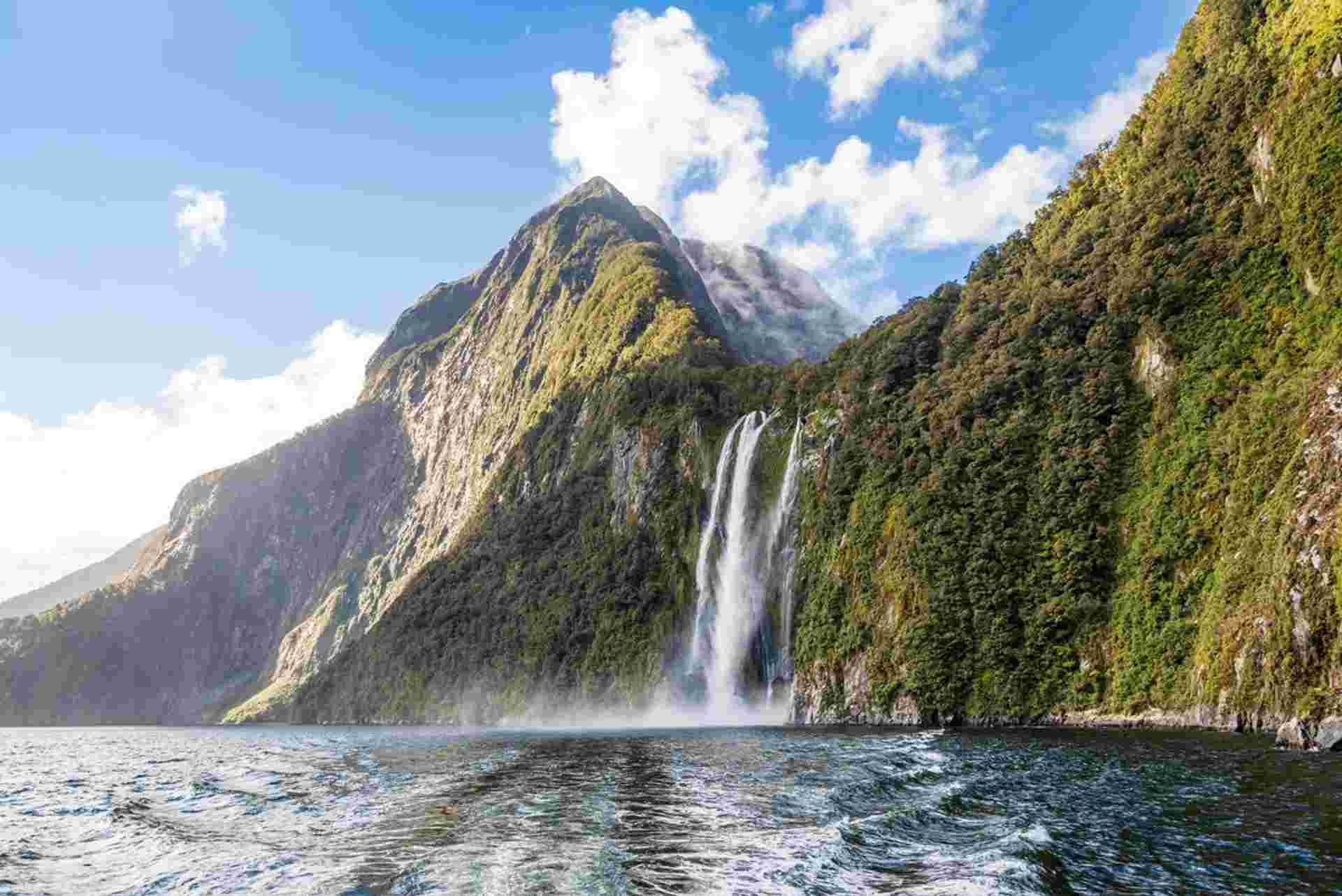 Premium New Zealand Encompassed