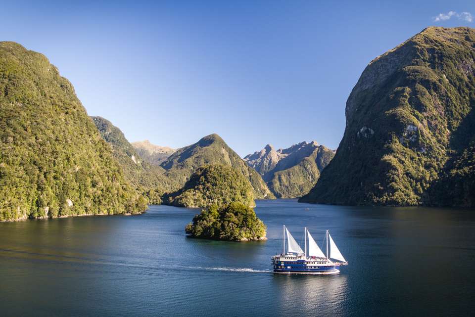 Premium New Zealand Encompassed - undefined - Image 21