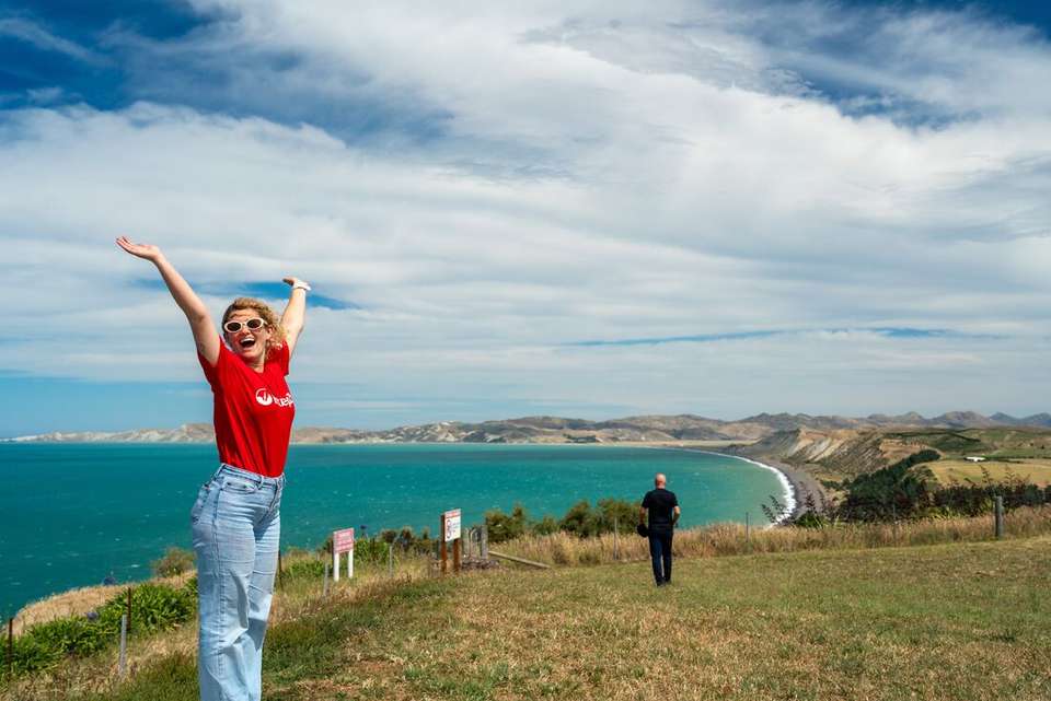 Premium New Zealand Encompassed - undefined - Image 8