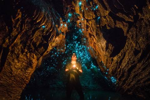 Auckland Active And Outdoor Tour: Premium New Zealand North Island