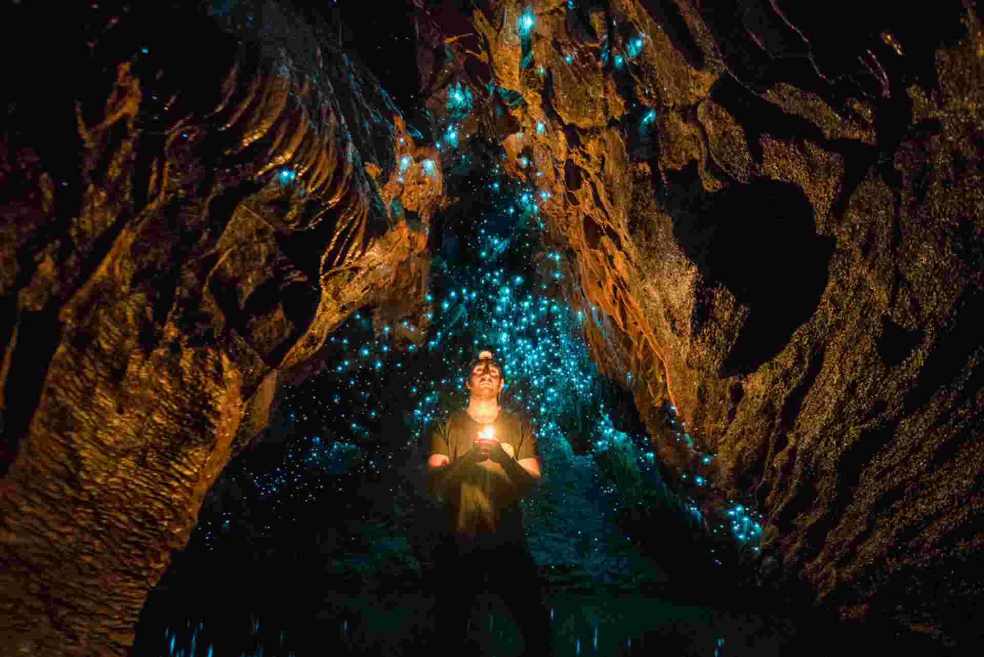 Premium New Zealand North Island