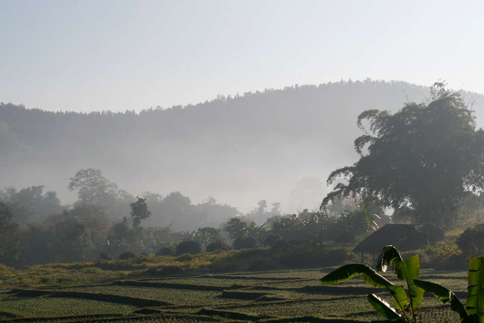 Premium Northern Thailand - Intrepid Travel - Thailand - Image 8