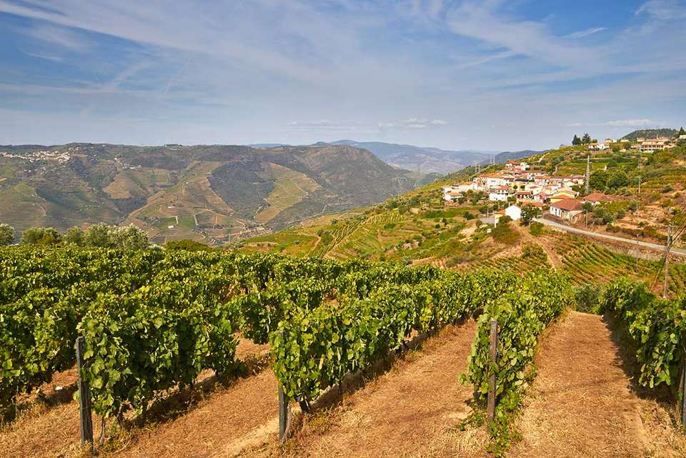 Premium Portugal - Intrepid Travel - Portugal - Image 2