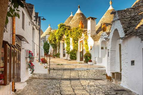 Premium Puglia - August 2027