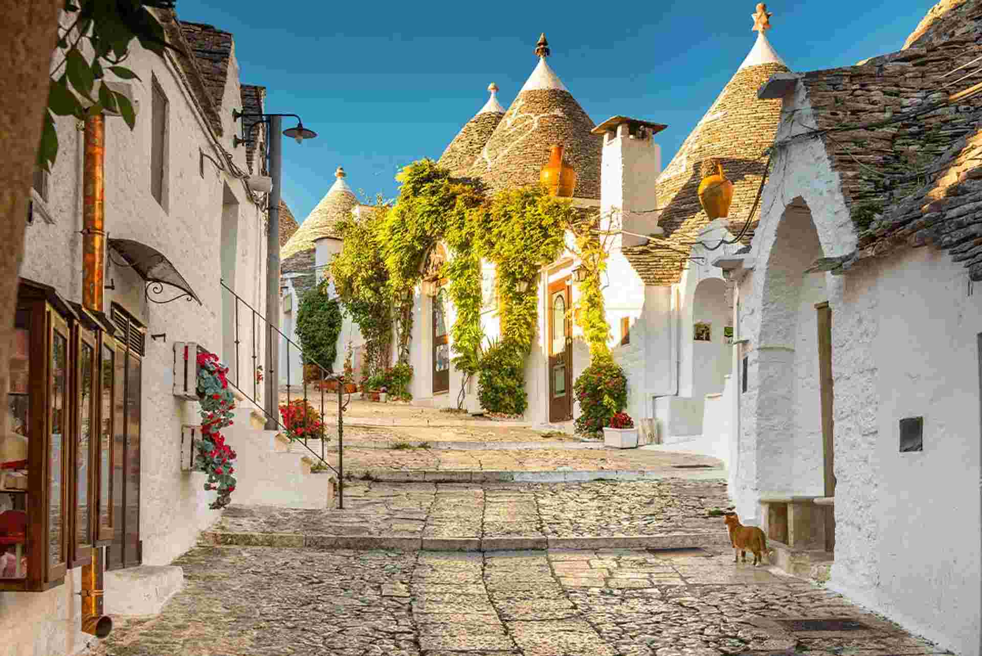 Premium Puglia