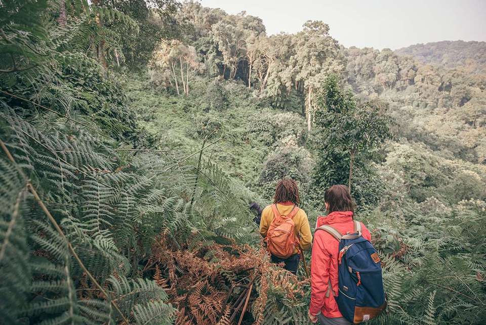 Premium Rwanda & Gorillas of Uganda - Intrepid Travel - Rwanda - Image 7