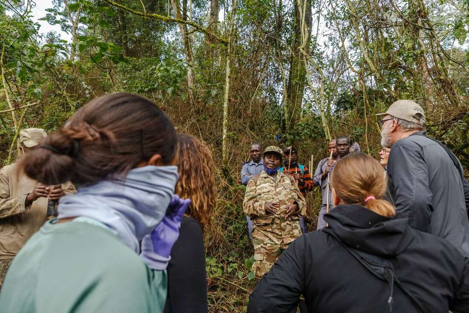 Premium Rwanda & Gorillas of Uganda - Intrepid Travel - Rwanda - Image 10