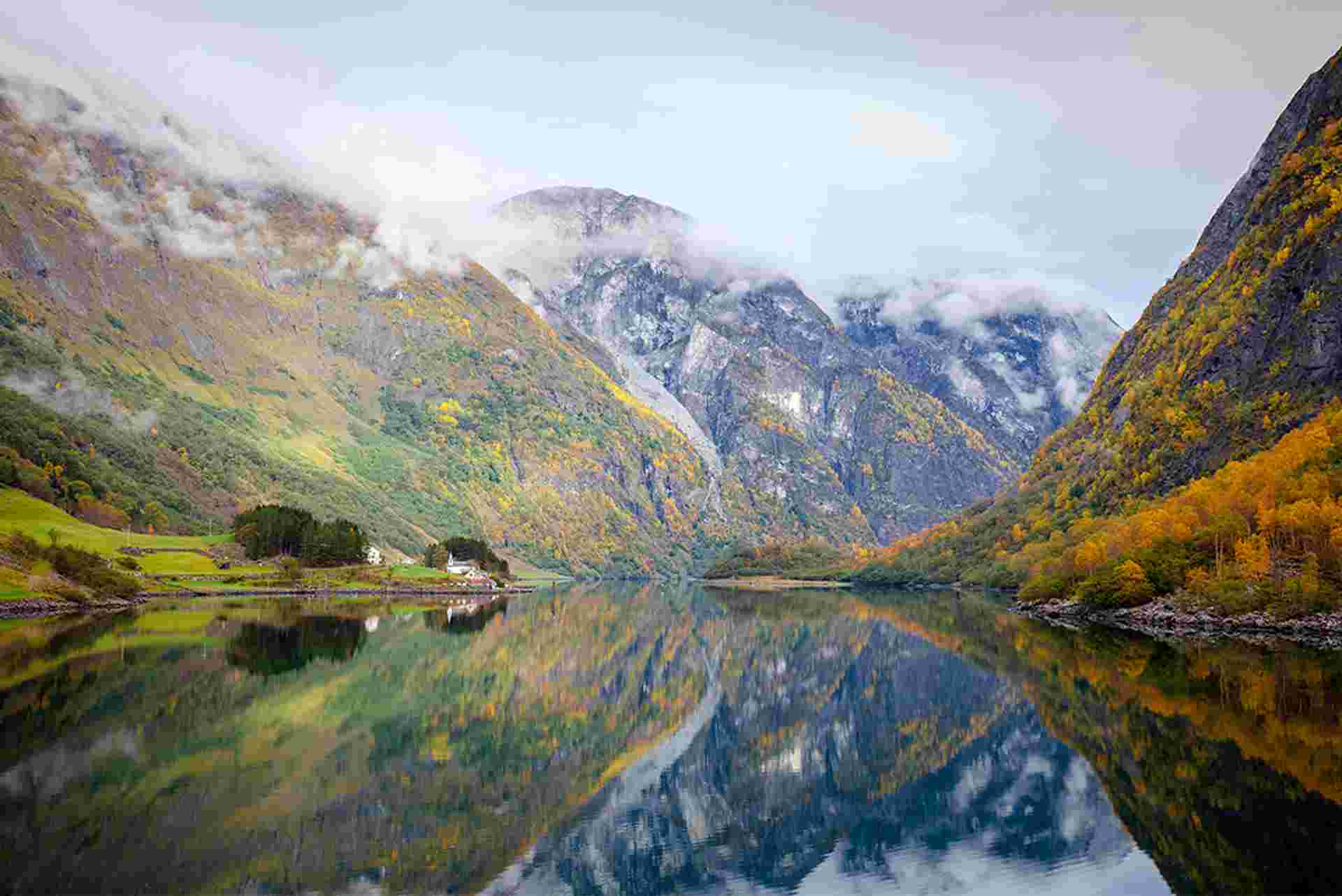 Premium Scandinavia
