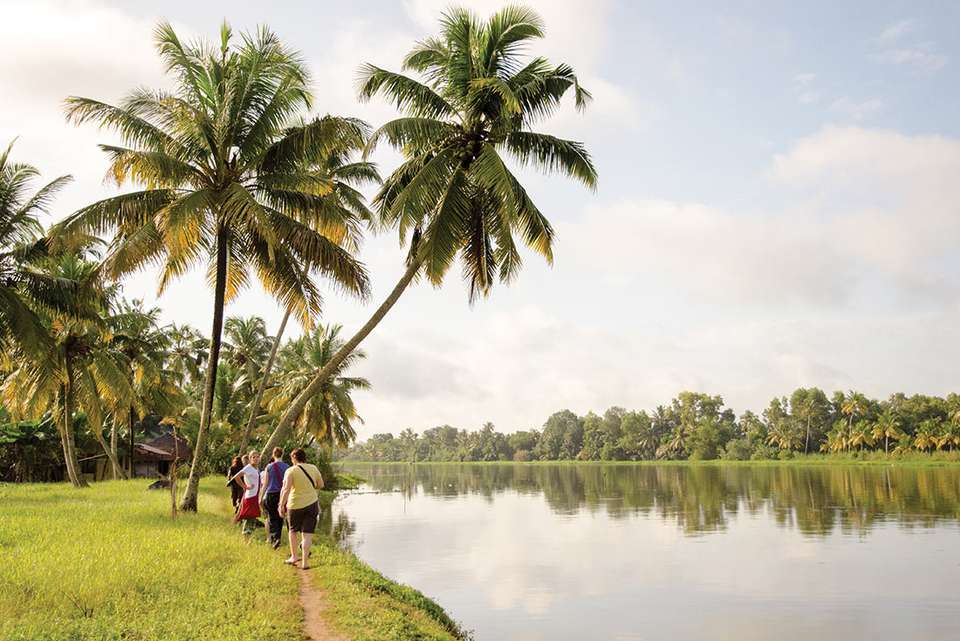 Premium South India - Intrepid Travel - India - Image 6