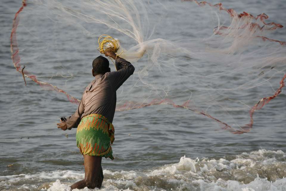 Premium South India - Intrepid Travel - India - Image 7