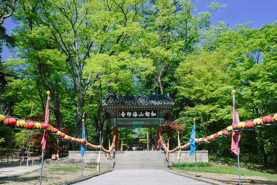 Premium South Korea - Intrepid Travel - South Korea - Image 2