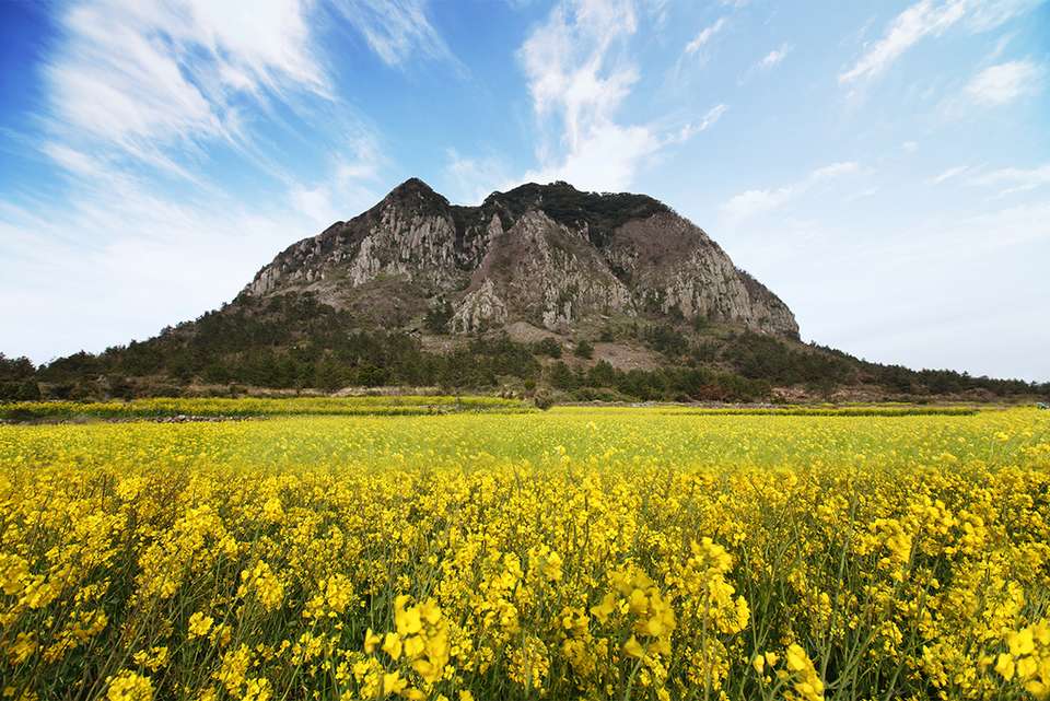 Premium South Korea - Intrepid Travel - South Korea - Image 7