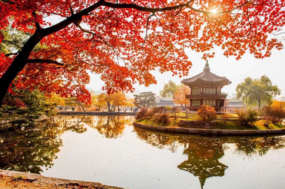 Premium South Korea Small Group Tour - undefined - Image 8
