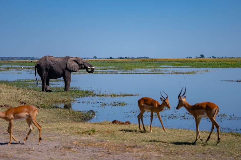 Premium Southern Africa - Intrepid Travel - South Africa - Image 9