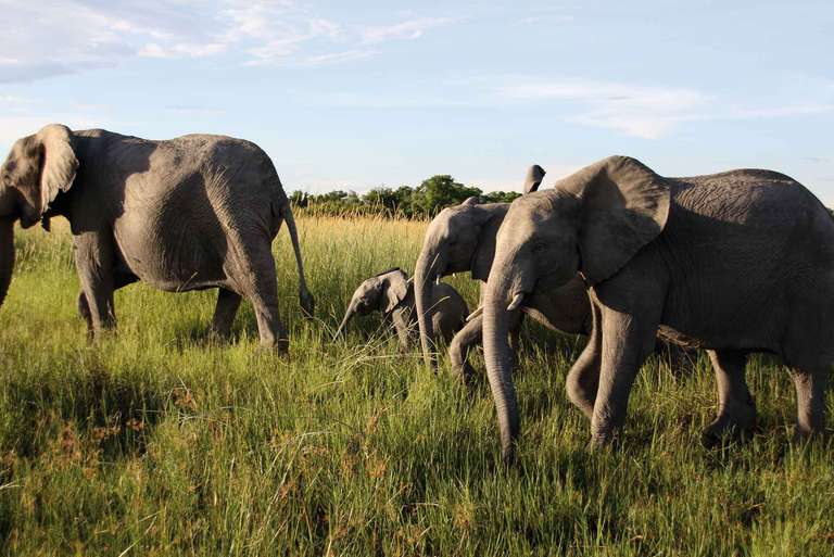 Premium Southern Africa in Depth trip - alternative tour available