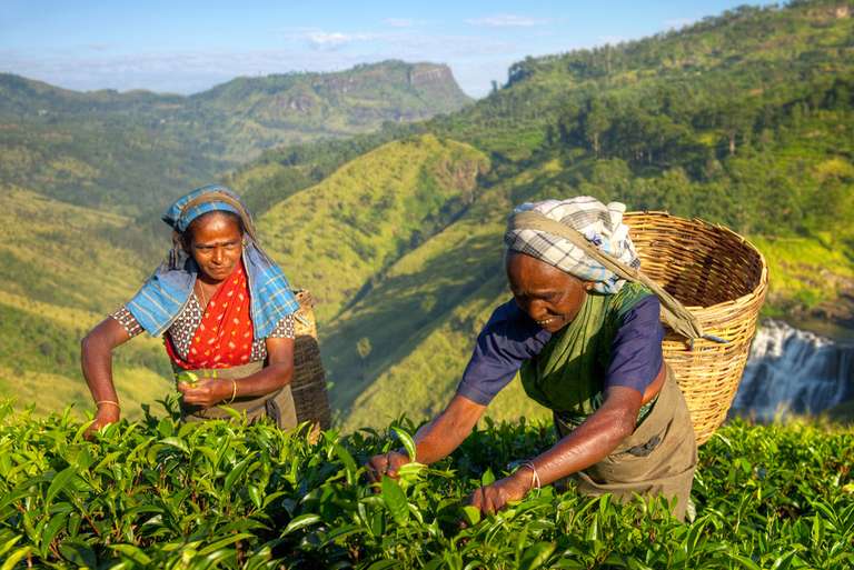 Premium Sri Lanka - January 2027