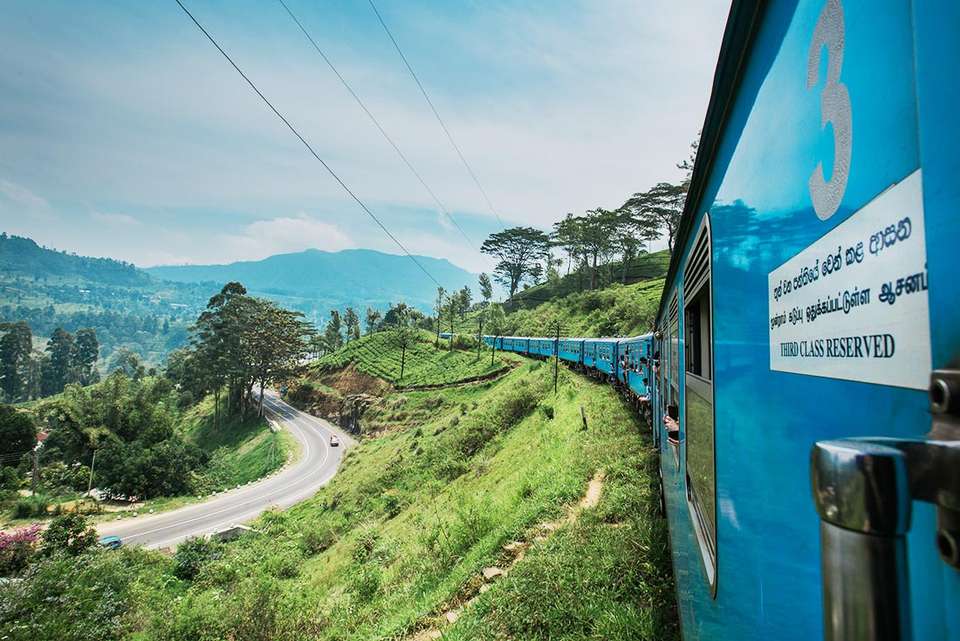 Premium Sri Lanka - Intrepid Travel - Sri Lanka - Image 5