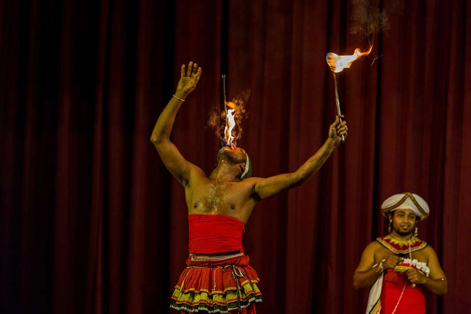 Premium Sri Lanka in Depth - Intrepid Travel - Sri Lanka