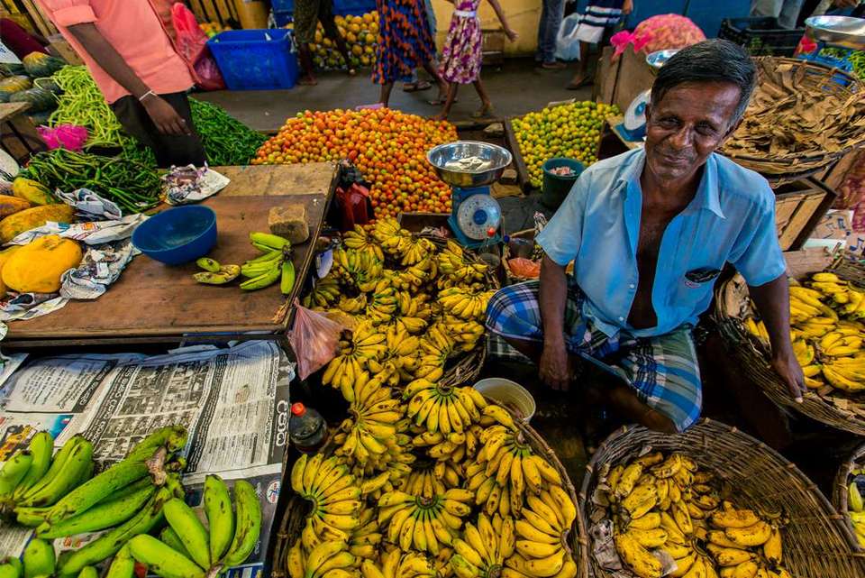 Premium Sri Lanka in Depth - Intrepid Travel - Sri Lanka