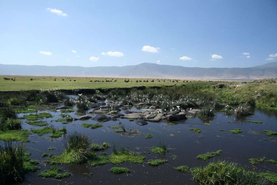 Premium Tanzania - Intrepid Travel - Tanzania - Image 12