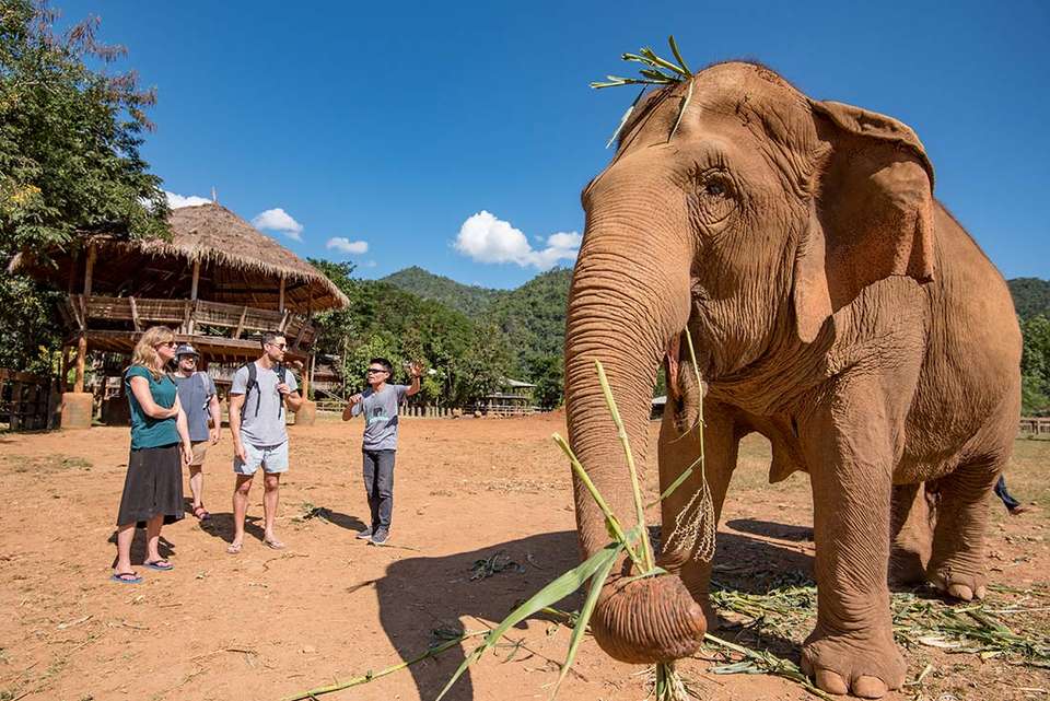 Premium Thailand and Vietnam - Intrepid Travel - Thailand - Image 11