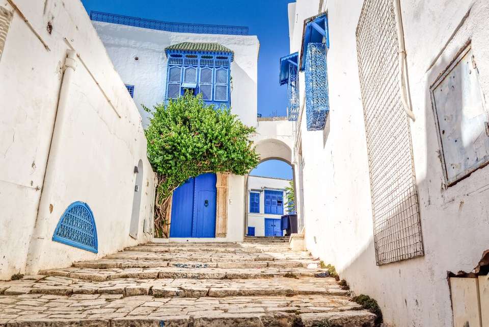 Premium Tunisia - Intrepid Travel - Tunisia - Image 10