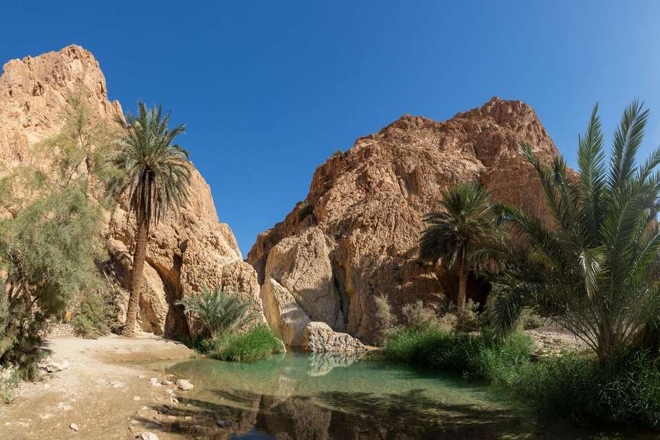 Premium Tunisia - Intrepid Travel - Tunisia - Image 13