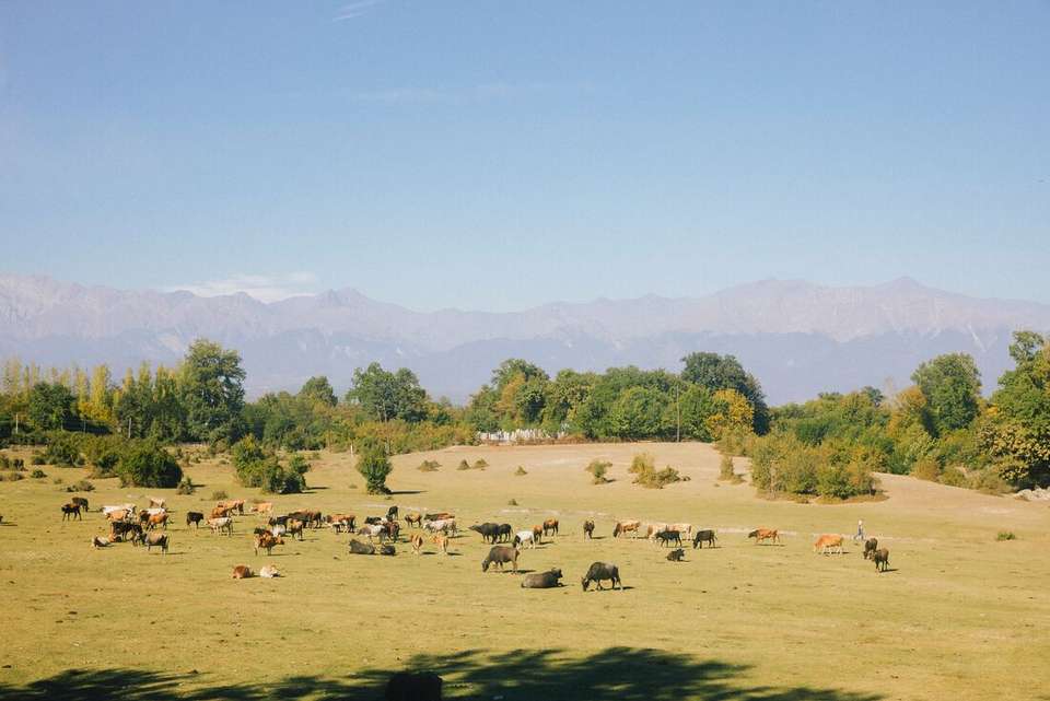 Premium Turkey & the Caucasus - Intrepid Travel - Turkey - Image 14