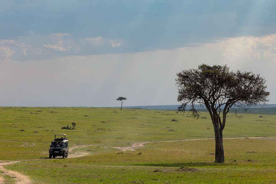 Premium Uganda, Rwanda & Kenya - Intrepid Travel - Uganda - Image 6