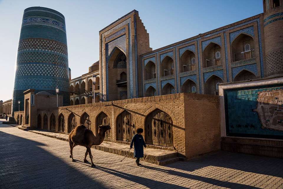 Premium Uzbekistan - Intrepid Travel - Uzbekistan - Image 3